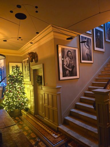 Christmas @ Rudloe 2025